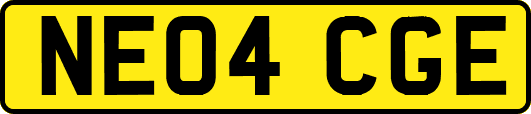 NE04CGE