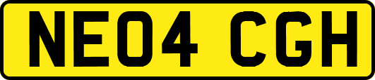 NE04CGH