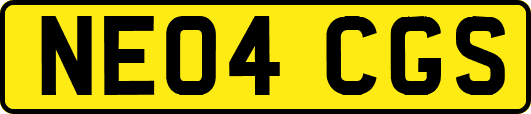 NE04CGS