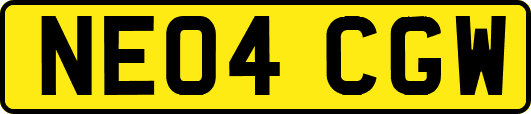 NE04CGW