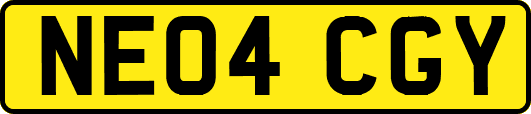 NE04CGY