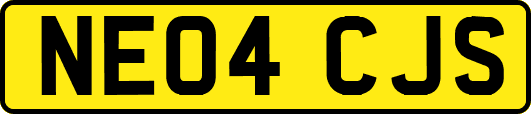 NE04CJS