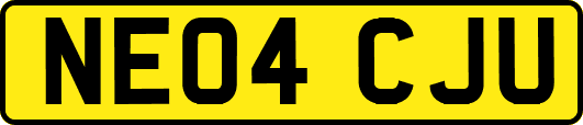 NE04CJU