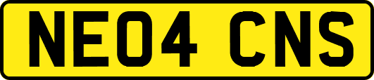 NE04CNS