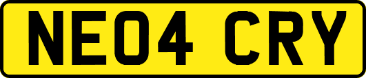 NE04CRY