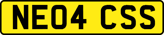 NE04CSS
