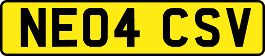NE04CSV
