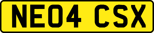 NE04CSX
