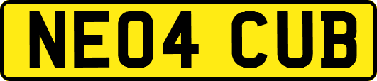 NE04CUB