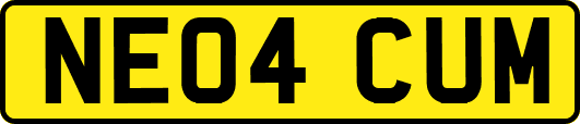 NE04CUM