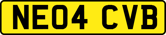 NE04CVB