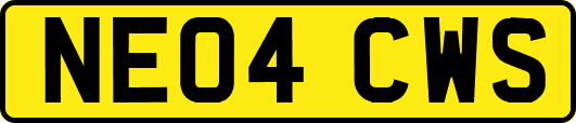 NE04CWS