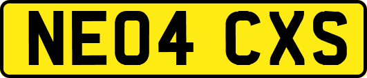 NE04CXS