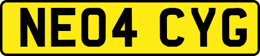 NE04CYG