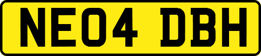 NE04DBH