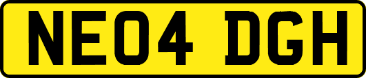 NE04DGH