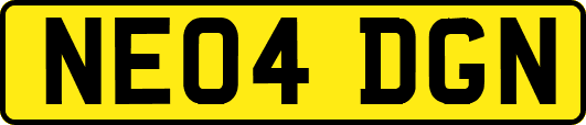 NE04DGN