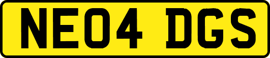 NE04DGS