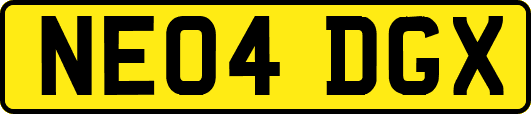 NE04DGX