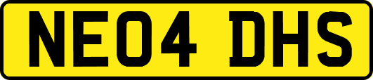 NE04DHS