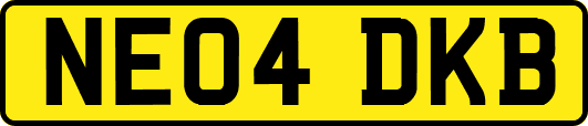 NE04DKB