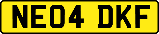 NE04DKF