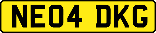 NE04DKG