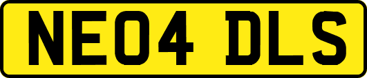 NE04DLS