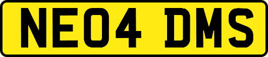 NE04DMS