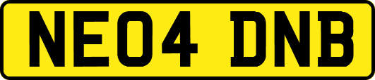 NE04DNB