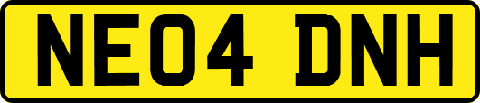 NE04DNH