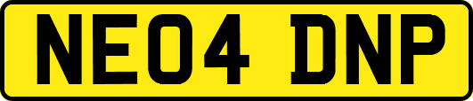 NE04DNP