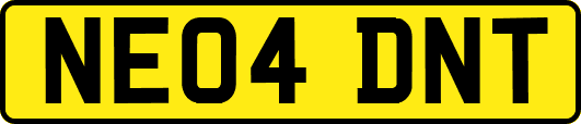 NE04DNT