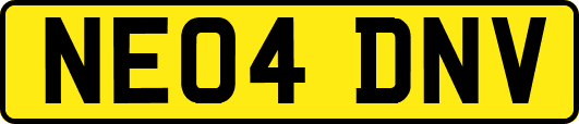 NE04DNV