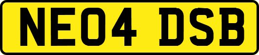 NE04DSB