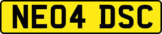 NE04DSC