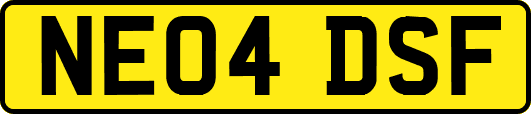 NE04DSF