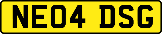 NE04DSG