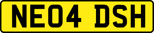 NE04DSH