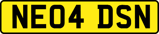 NE04DSN