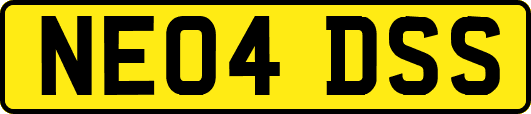 NE04DSS