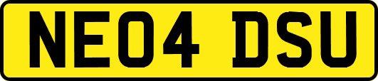NE04DSU