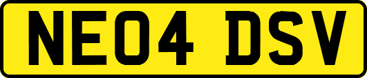 NE04DSV