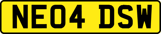 NE04DSW