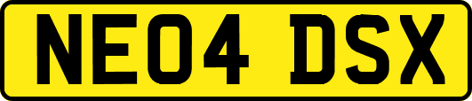 NE04DSX