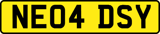 NE04DSY