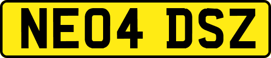 NE04DSZ