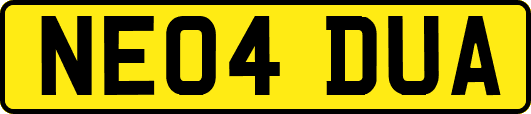 NE04DUA