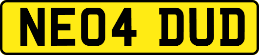 NE04DUD