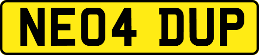 NE04DUP